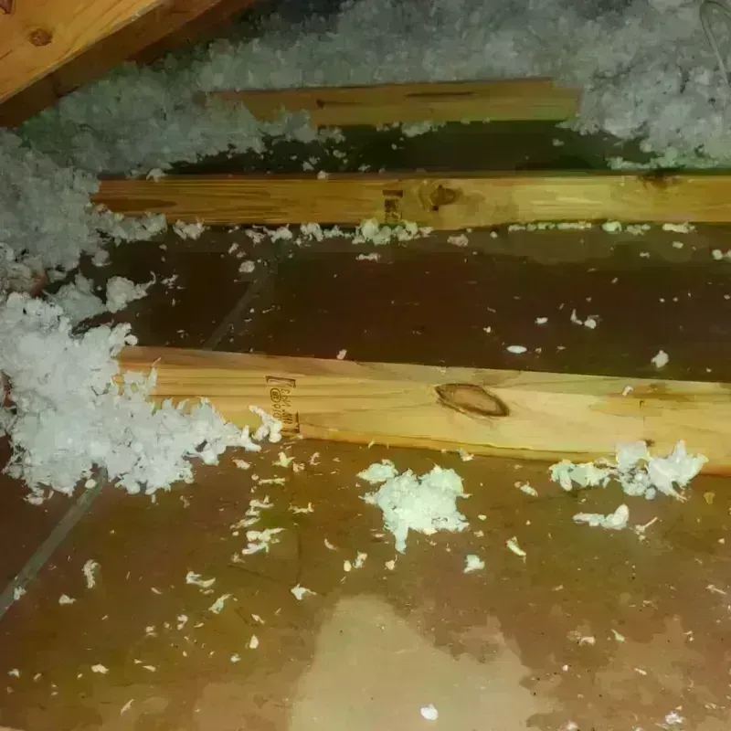 Attic Water Damage in Canandaigua, NY